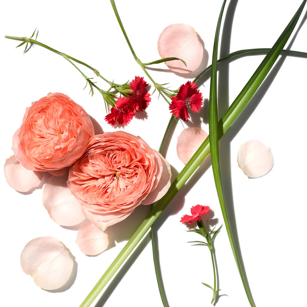 Aromatherapy Associates Rose Rejuvenating Body Trio